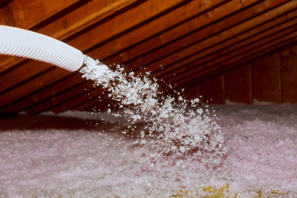 Best Insulation Maintenance and Repair in Mims, FL