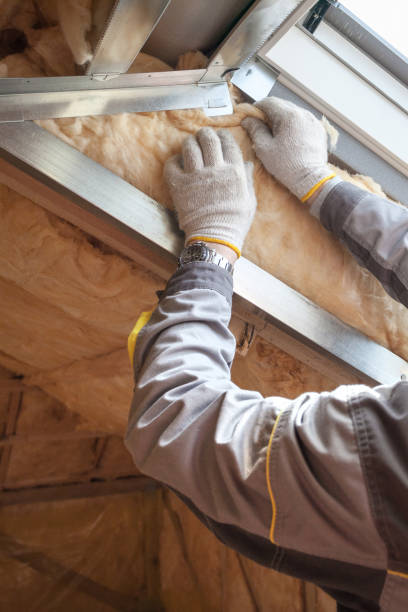 Best Insulation for Specific Applications in Mims, FL