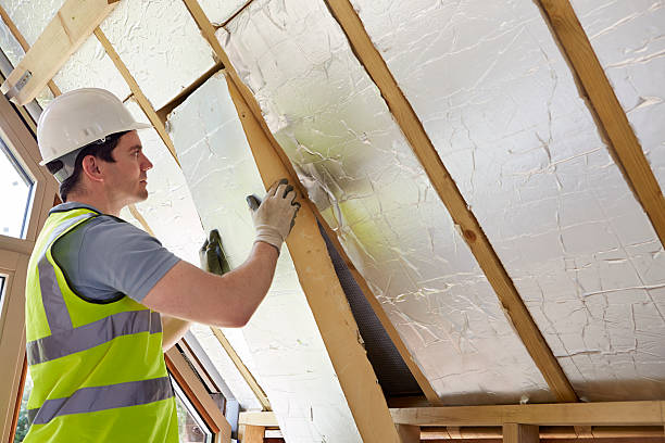 Best Insulation Maintenance and Repair in Mims, FL