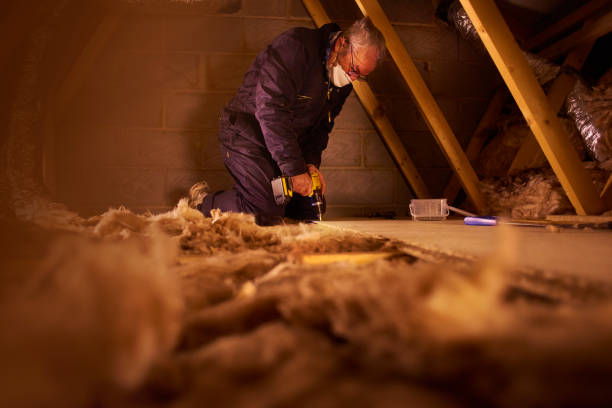 Best Insulation Installation Services in Mims, FL